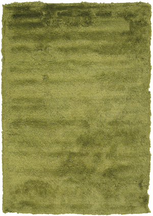 Chandra Rugs Mercury 100% Polyester Hand-Woven Contemporary Rug Green 9' x 13'