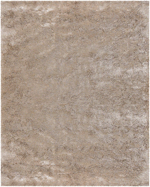 Chandra Rugs Mercury 100% Polyester Hand-Woven Contemporary Rug Beige 9' x 13'