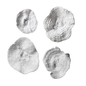 Uttermost Sea Coral Wall Art Set of 4