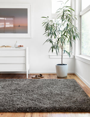 Loloi Mila Shag MIL-01 100% Polyester Pile Hand Tufted Shags Rug MMILMIL-01CC0093D0