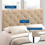 Theodore Queen Upholstered Fabric Headboard Beige MOD-5040-BEI