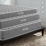 Mila 6" Twin XL Mattress  MOD-5732-WHI