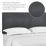 Taylor King and California King Upholstered Performance Velvet Headboard Gray MOD-5884-GRY