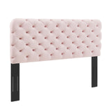 Lizzy Tufted Twin Performance Velvet Headboard Pink MOD-6030-PNK