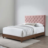 Rhiannon Diamond Tufted Upholstered Performance Velvet Queen Bed Walnut Dusty Rose MOD-6147-WAL-DUS