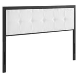 Teagan Tufted Twin Headboard Black White MOD-6172-BLK-WHI