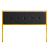 Teagan Tufted Full Performance Velvet Headboard Gold Black MOD-6175-GLD-BLK