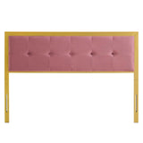 Teagan Tufted King Performance Velvet Headboard Gold Dusty Rose MOD-6179-GLD-DUS