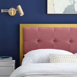 Teagan Tufted King Performance Velvet Headboard Gold Dusty Rose MOD-6179-GLD-DUS