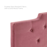 Juliet Tufted Full/Queen Performance Velvet Headboard Dusty Rose MOD-6185-DUS