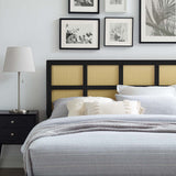 Luana Cane Full Headboard Black MOD-6197-BLK