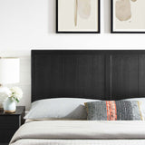 Robbie Twin Wood Headboard Black MOD-6216-BLK