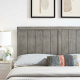 Robbie Twin Wood Headboard Gray MOD-6216-GRY