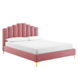 Olivia Queen Performance Velvet Platform Bed Dusty Rose MOD-6280-DUS