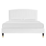 Modway Furniture Alessi Performance Velvet Queen Platform Bed XRXT White MOD-6284-WHI