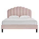 Modway Furniture Daisy Performance Velvet Queen Platform Bed XRXT Pink MOD-6287-PNK