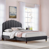 Modway Furniture Daisy Performance Velvet Queen Platform Bed XRXT Charcoal MOD-6288-CHA