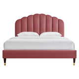 Modway Furniture Daisy Performance Velvet Queen Platform Bed XRXT Dusty Rose MOD-6288-DUS