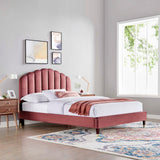 Modway Furniture Daisy Performance Velvet Queen Platform Bed XRXT Dusty Rose MOD-6288-DUS