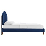 Modway Furniture Daisy Performance Velvet Queen Platform Bed XRXT Navy MOD-6288-NAV