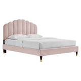 Modway Furniture Daisy Performance Velvet Queen Platform Bed XRXT Pink MOD-6288-PNK