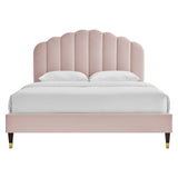 Modway Furniture Daisy Performance Velvet Queen Platform Bed XRXT Pink MOD-6288-PNK