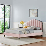 Modway Furniture Daisy Performance Velvet Queen Platform Bed XRXT Pink MOD-6288-PNK