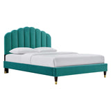 Modway Furniture Daisy Performance Velvet Queen Platform Bed XRXT Teal MOD-6288-TEA