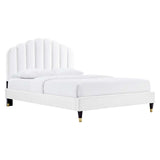 Modway Furniture Daisy Performance Velvet Queen Platform Bed XRXT White MOD-6288-WHI