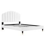 Modway Furniture Daisy Performance Velvet Queen Platform Bed XRXT White MOD-6288-WHI