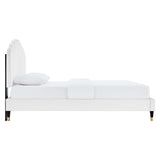 Modway Furniture Daisy Performance Velvet Queen Platform Bed XRXT White MOD-6288-WHI