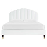 Modway Furniture Daisy Performance Velvet Queen Platform Bed XRXT White MOD-6288-WHI