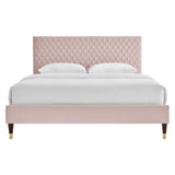 Modway Furniture Garcelle Performance Velvet Queen Platform Bed XRXT Pink MOD-6290-PNK