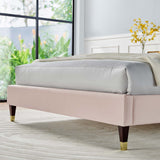 Modway Furniture Garcelle Performance Velvet Queen Platform Bed XRXT Pink MOD-6290-PNK