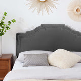 Lucia Full/Queen Performance Velvet Headboard Charcoal MOD-6312-CHA