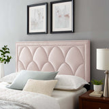 Modway Furniture Greta Performance Velvet King/California King Headboard XRXT Pink MOD-6322-PNK