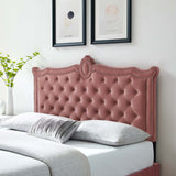 Modway Furniture Louisa Tufted Performance Velvet Twin Headboard XRXT Dusty Rose MOD-6323-DUS