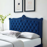 Modway Furniture Louisa Tufted Performance Velvet Twin Headboard XRXT Navy MOD-6323-NAV