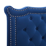 Modway Furniture Louisa Tufted Performance Velvet Twin Headboard XRXT Navy MOD-6323-NAV