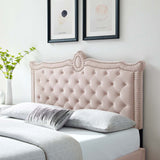 Modway Furniture Louisa Tufted Performance Velvet Twin Headboard XRXT Pink MOD-6323-PNK