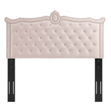 Modway Furniture Louisa Tufted Performance Velvet Twin Headboard XRXT Pink MOD-6323-PNK