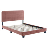 Celine Channel Tufted Performance Velvet Queen Platform Bed Dusty Rose MOD-6334-DUS