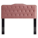 Sophia Tufted Performance Velvet Twin Headboard Dusty Rose MOD-6409-DUS