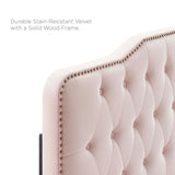 Sophia Tufted Performance Velvet Twin Headboard Pink MOD-6409-PNK