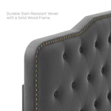 Sophia Tufted Performance Velvet King/California King Headboard Charcoal MOD-6411-CHA