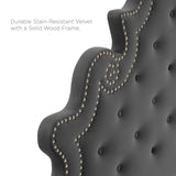 Diana Tufted Performance Velvet Twin Headboard Charcoal MOD-6416-CHA