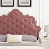 Arabella Button-Tufted Performance Velvet King/California King Headboard Dusty Rose MOD-6564-DUS