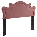 Evangeline Performance Velvet Twin Headboard Dusty Rose MOD-6571-DUS