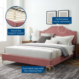 Modway Furniture Adelaide Performance Velvet Queen Platform Bed 0423 Dusty Rose MOD-6580-DUS