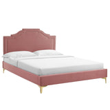 Modway Furniture Adelaide Performance Velvet Queen Platform Bed 0423 Dusty Rose MOD-6580-DUS